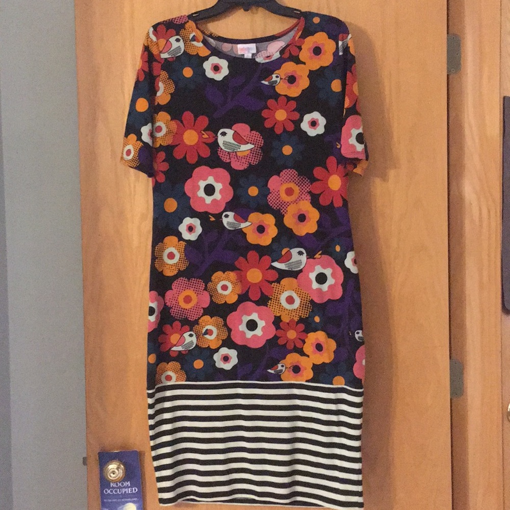 Unique and beautiful Lularoe Julia, XL!